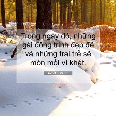 Picture 07 - A-mốt 8:13 VIE - Trong ngày đó, những gái đồng trinh - Bible Verse Picture