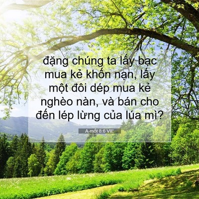 Picture 07 - A-mốt 8:6 VIE - đặng chúng ta lấy bạc mua kẻ khốn - Bible Verse Picture