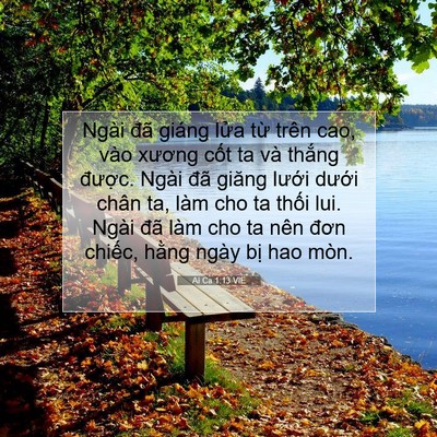 Picture 07 - Ai Ca 1:13 VIE - Ngài đã giáng lửa từ trên cao, vào - Bible Verse Picture