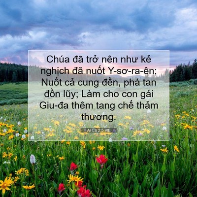 Picture 07 - Ai Ca 2:5 VIE - Chúa đã trở nên như kẻ nghịch đã - Bible Verse Picture