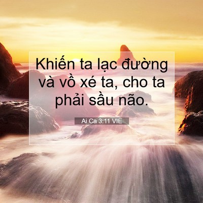 Picture 07 - Ai Ca 3:11 VIE - Khiến ta lạc đường và vồ xé ta, cho - Bible Verse Picture