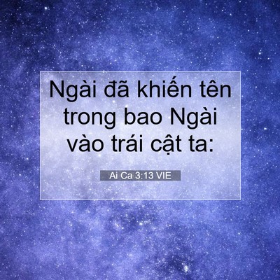 Picture 07 - Ai Ca 3:13 VIE - Ngài đã khiến tên trong bao Ngài vào - Bible Verse Picture