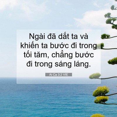 Picture 07 - Ai Ca 3:2 VIE - Ngài đã dắt ta và khiến ta bước đi - Bible Verse Picture
