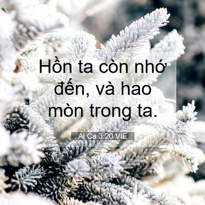 Picture 07 - Ai Ca 3:20 VIE - Hồn ta còn nhớ đến, và hao mòn trong - Bible Verse Picture