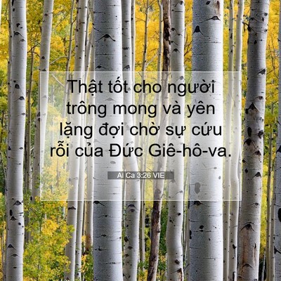 Picture 07 - Ai Ca 3:26 VIE - Thật tốt cho người trông mong và yên - Bible Verse Picture
