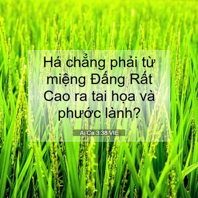 Picture 07 - Ai Ca 3:38 VIE - Há chẳng phải từ miệng Đấng Rất Cao - Bible Verse Picture