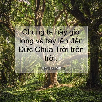 Picture 07 - Ai Ca 3:41 VIE - Chúng ta hãy giơ lòng và tay lên đến - Bible Verse Picture