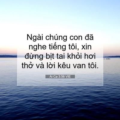Picture 07 - Ai Ca 3:56 VIE - Ngài chúng con đã nghe tiếng tôi, xin - Bible Verse Picture
