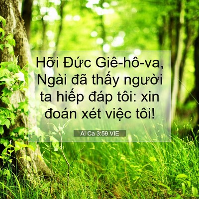Picture 07 - Ai Ca 3:59 VIE - Hỡi Đức Giê-hô-va, Ngài đã thấy - Bible Verse Picture