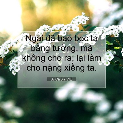 Picture 07 - Ai Ca 3:7 VIE - Ngài đã bao bọc ta bằng tường, mà - Bible Verse Picture