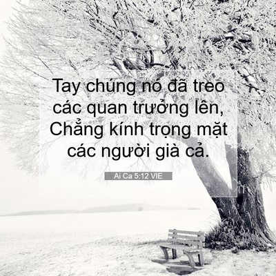 Picture 07 - Ai Ca 5:12 VIE - Tay chúng nó đã treo các quan trưởng - Bible Verse Picture
