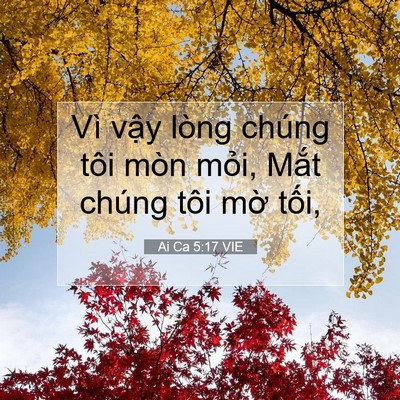 Picture 07 - Ai Ca 5:17 VIE - Vì vậy lòng chúng tôi mòn mỏi, Mắt - Bible Verse Picture