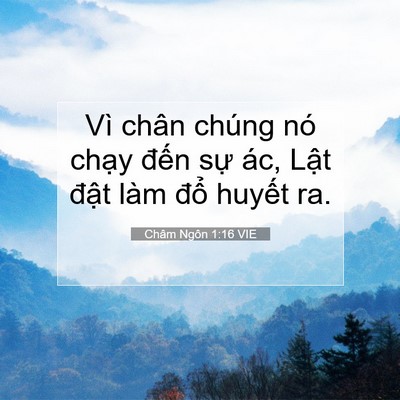 Picture 07 - Châm Ngôn 1:16 VIE - Vì chân chúng nó chạy đến sự ác, - Bible Verse Picture