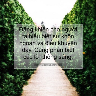 Picture 07 - Châm Ngôn 1:2 VIE - Đặng khiến cho người ta hiểu biết - Bible Verse Picture