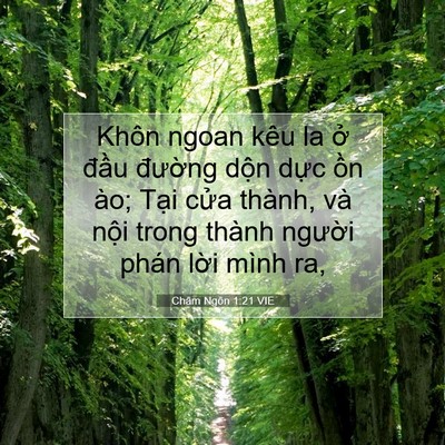 Picture 07 - Châm Ngôn 1:21 VIE - Khôn ngoan kêu la ở đầu đường dộn - Bible Verse Picture