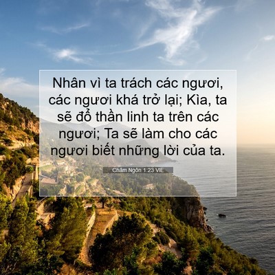 Picture 07 - Châm Ngôn 1:23 VIE - Nhân vì ta trách các ngươi, các ngươi - Bible Verse Picture