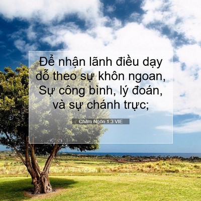 Picture 07 - Châm Ngôn 1:3 VIE - Để nhận lãnh điều dạy dỗ theo sự - Bible Verse Picture