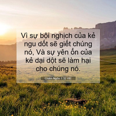Picture 07 - Châm Ngôn 1:32 VIE - Vì sự bội nghịch của kẻ ngu dốt sẽ - Bible Verse Picture