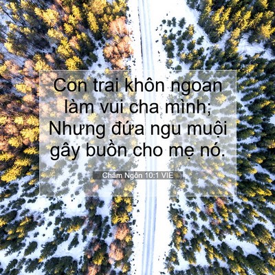 Picture 07 - Châm Ngôn 10:1 VIE - Con trai khôn ngoan làm vui cha mình; Nhưng - Bible Verse Picture