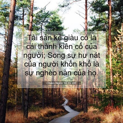 Picture 07 - Châm Ngôn 10:15 VIE - Tài sản kẻ giàu có là cái thành kiên - Bible Verse Picture