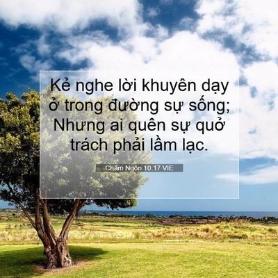 Picture 07 - Châm Ngôn 10:17 VIE - Kẻ nghe lời khuyên dạy ở trong đường - Bible Verse Picture