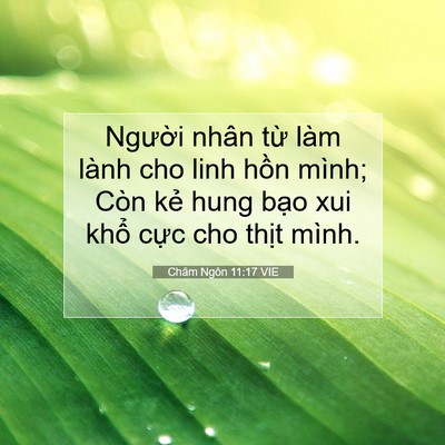 Picture 07 - Châm Ngôn 11:17 VIE - Người nhân từ làm lành cho linh hồn - Bible Verse Picture
