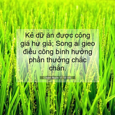 Picture 07 - Châm Ngôn 11:18 VIE - Kẻ dữ ăn được công giá hư giả; Song - Bible Verse Picture