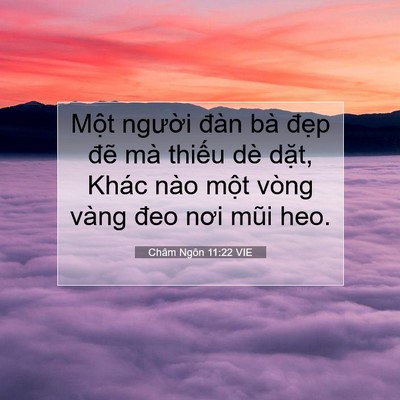Picture 07 - Châm Ngôn 11:22 VIE - Một người đàn bà đẹp đẽ mà thiếu - Bible Verse Picture