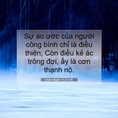 Picture 07 - Châm Ngôn 11:23 VIE - Sự ao ước của người công bình chỉ - Bible Verse Picture