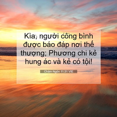 Picture 07 - Châm Ngôn 11:31 VIE - Kìa, người công bình được báo đáp - Bible Verse Picture