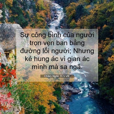 Picture 07 - Châm Ngôn 11:5 VIE - Sự công bình của người trọn vẹn ban - Bible Verse Picture