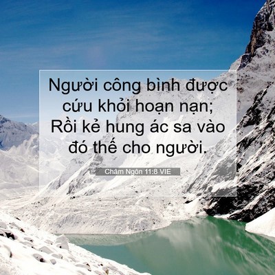 Picture 07 - Châm Ngôn 11:8 VIE - Người công bình được cứu khỏi hoạn - Bible Verse Picture