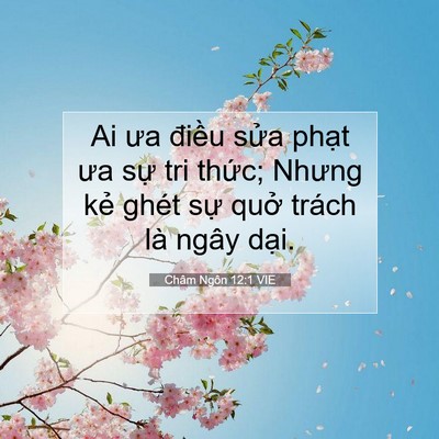 Picture 07 - Châm Ngôn 12:1 VIE - Ai ưa điều sửa phạt ưa sự tri thức; - Bible Verse Picture