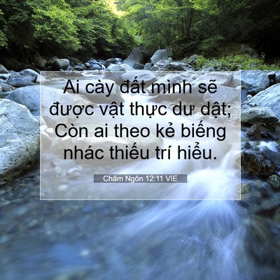 Picture 07 - Châm Ngôn 12:11 VIE - Ai cày đất mình sẽ được vật thực - Bible Verse Picture