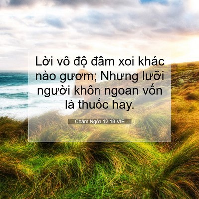 Picture 07 - Châm Ngôn 12:18 VIE - Lời vô độ đâm xoi khác nào gươm; - Bible Verse Picture