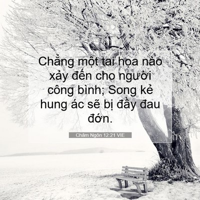 Picture 07 - Châm Ngôn 12:21 VIE - Chẳng một tai họa nào xảy đến cho - Bible Verse Picture