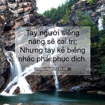 Picture 07 - Châm Ngôn 12:24 VIE - Tay người siêng năng sẽ cai trị; Nhưng - Bible Verse Picture