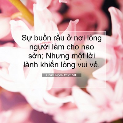 Picture 07 - Châm Ngôn 12:25 VIE - Sự buồn rầu ở nơi lòng người làm - Bible Verse Picture