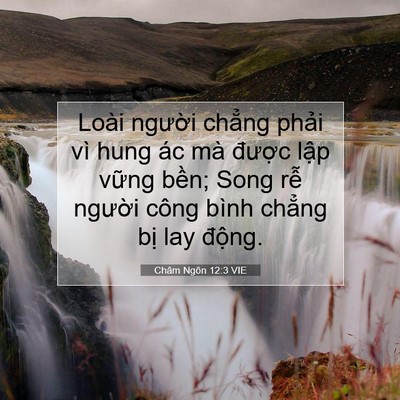 Picture 07 - Châm Ngôn 12:3 VIE - Loài người chẳng phải vì hung ác mà - Bible Verse Picture