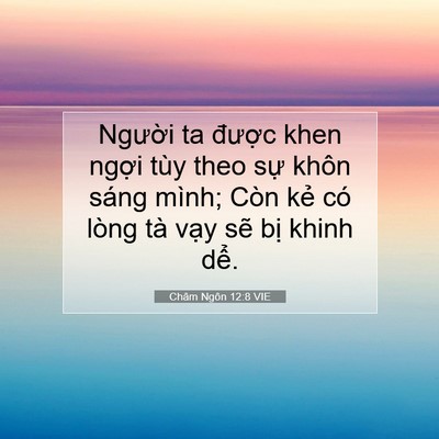 Picture 07 - Châm Ngôn 12:8 VIE - Người ta được khen ngợi tùy theo sự - Bible Verse Picture