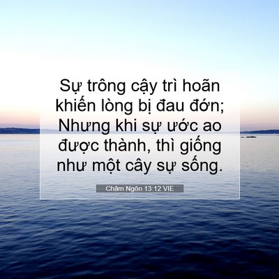 Picture 07 - Châm Ngôn 13:12 VIE - Sự trông cậy trì hoãn khiến lòng bị - Bible Verse Picture