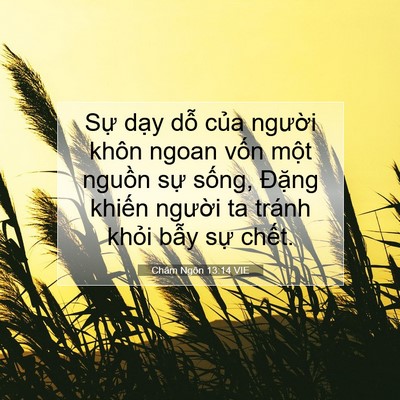 Picture 07 - Châm Ngôn 13:14 VIE - Sự dạy dỗ của người khôn ngoan vốn - Bible Verse Picture