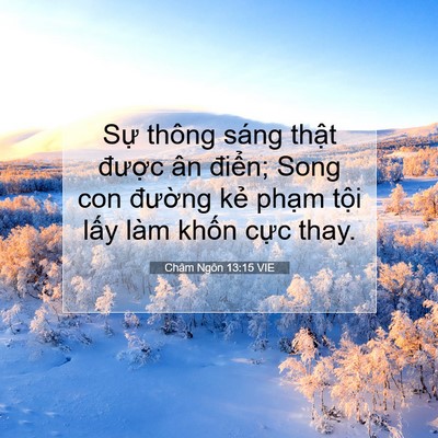 Picture 07 - Châm Ngôn 13:15 VIE - Sự thông sáng thật được ân điển; - Bible Verse Picture