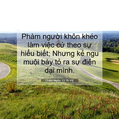 Picture 07 - Châm Ngôn 13:16 VIE - Phàm người khôn khéo làm việc cứ theo - Bible Verse Picture