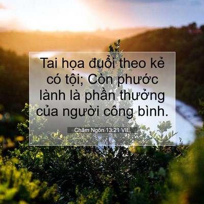 Picture 07 - Châm Ngôn 13:21 VIE - Tai họa đuổi theo kẻ có tội; Còn - Bible Verse Picture