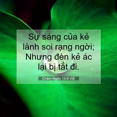 Picture 07 - Châm Ngôn 13:9 VIE - Sự sáng của kẻ lành soi rạng ngời; - Bible Verse Picture