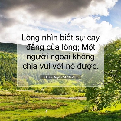 Picture 07 - Châm Ngôn 14:10 VIE - Lòng nhìn biết sự cay đắng của lòng; - Bible Verse Picture