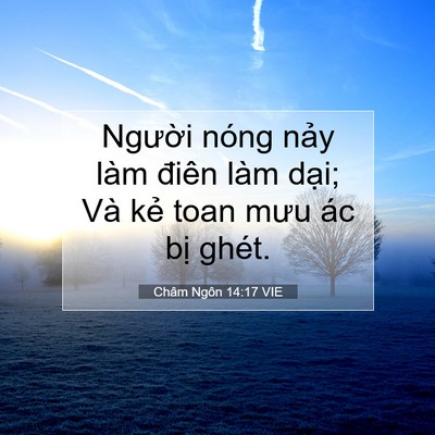 Picture 07 - Châm Ngôn 14:17 VIE - Người nóng nảy làm điên làm dại; Và - Bible Verse Picture