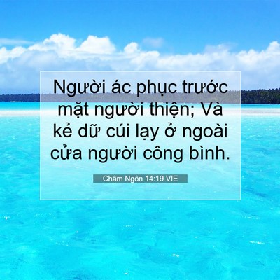 Picture 07 - Châm Ngôn 14:19 VIE - Người ác phục trước mặt người - Bible Verse Picture