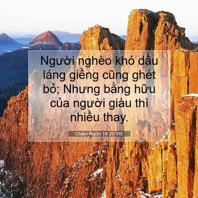 Picture 07 - Châm Ngôn 14:20 VIE - Người nghèo khó dầu láng giềng cũng - Bible Verse Picture